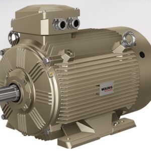 Motores Eléctricos Síncronos De Imanes Permanentes y SynRM MARCA WOLONG